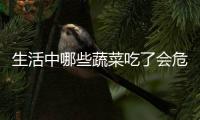 生活中哪些蔬菜吃了会危害多多？