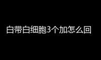 白带白细胞3个加怎么回事