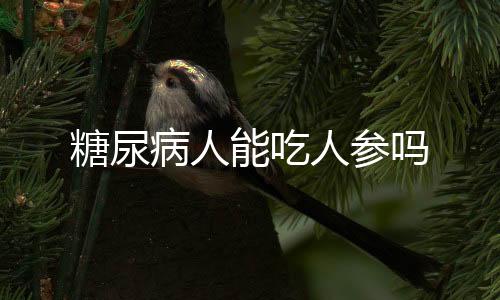 糖尿病人能吃人参吗