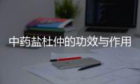 中药盐杜仲的功效与作用