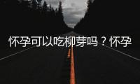 怀孕可以吃柳芽吗？怀孕吃什么比较好