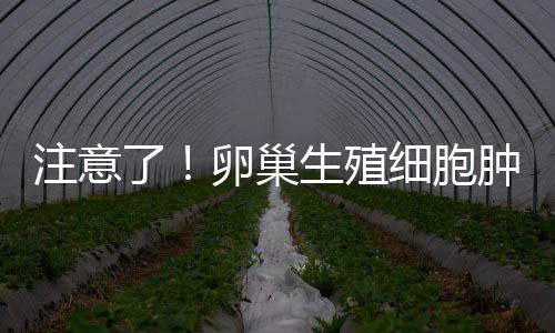 注意了！卵巢生殖细胞肿瘤发病主要是年轻女性