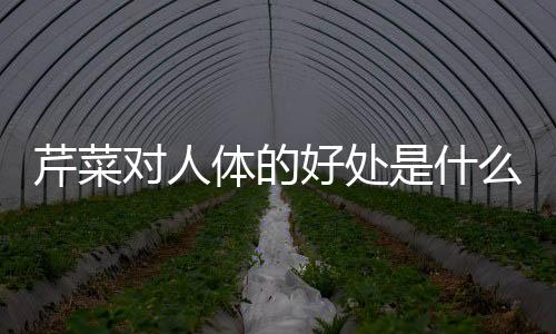 芹菜对人体的好处是什么？