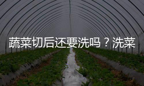 蔬菜切后还要洗吗？洗菜最好用流动水