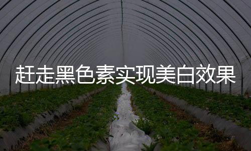 赶走黑色素实现美白效果 很多的蔬菜和水果就可以