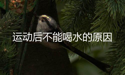 运动后不能喝水的原因